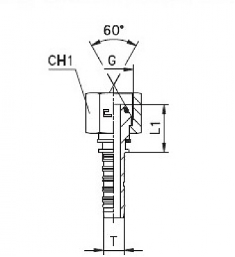 BSP 1.1/4"-11/0-20 DN32 (C) (O-Ring)